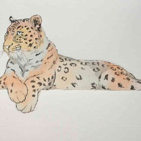 Drawings: барс